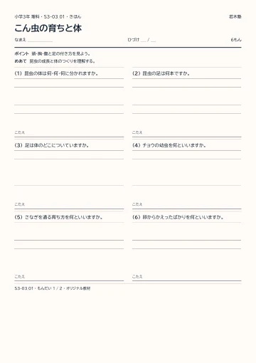 こん虫の育ちと体の見本
