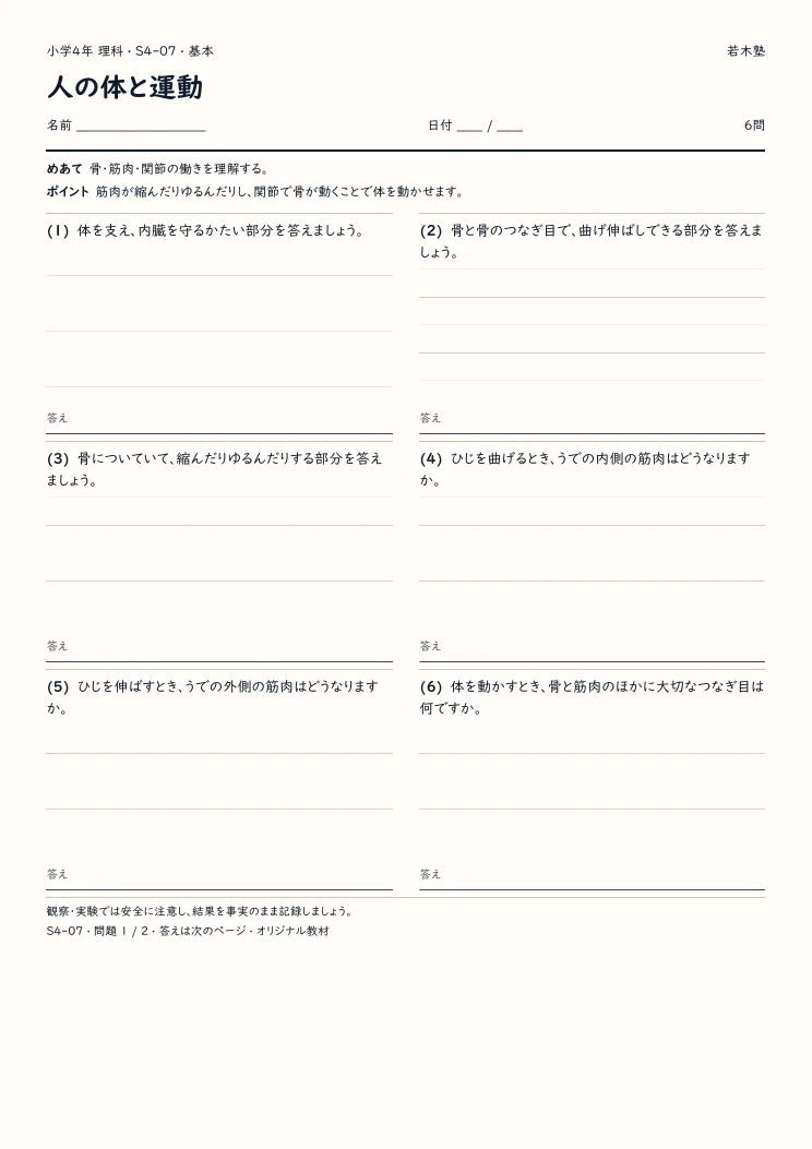 人の体と運動プリントの見本