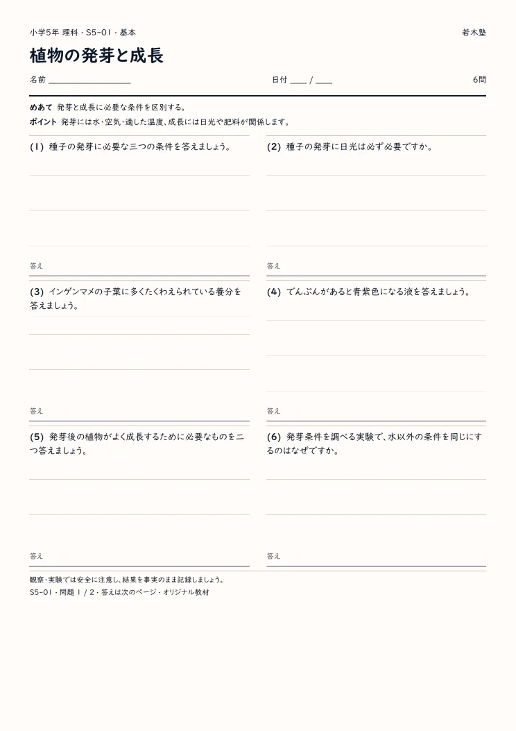 植物の発芽と成長プリントの見本