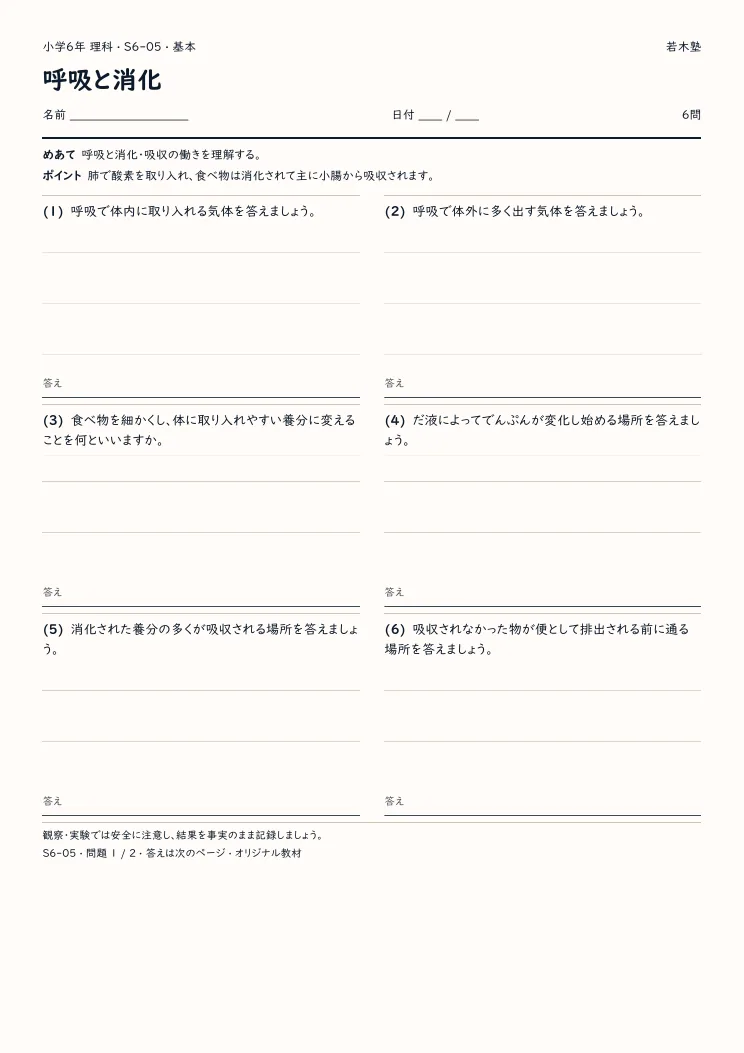呼吸と消化プリントの見本