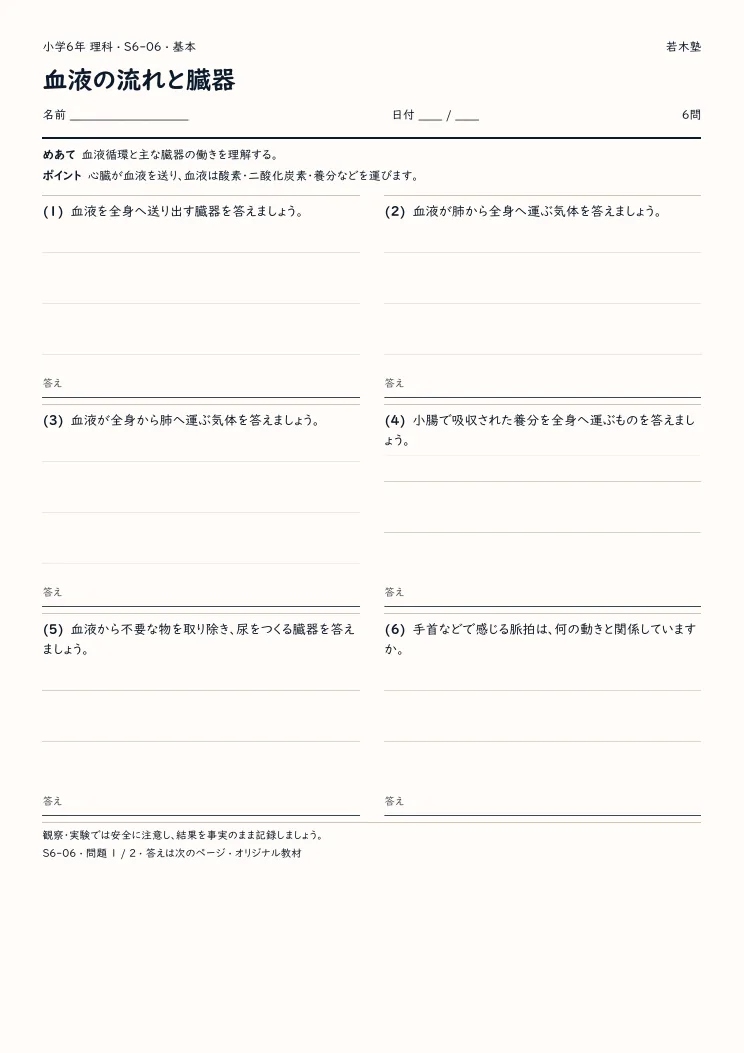 血液の流れと臓器プリントの見本