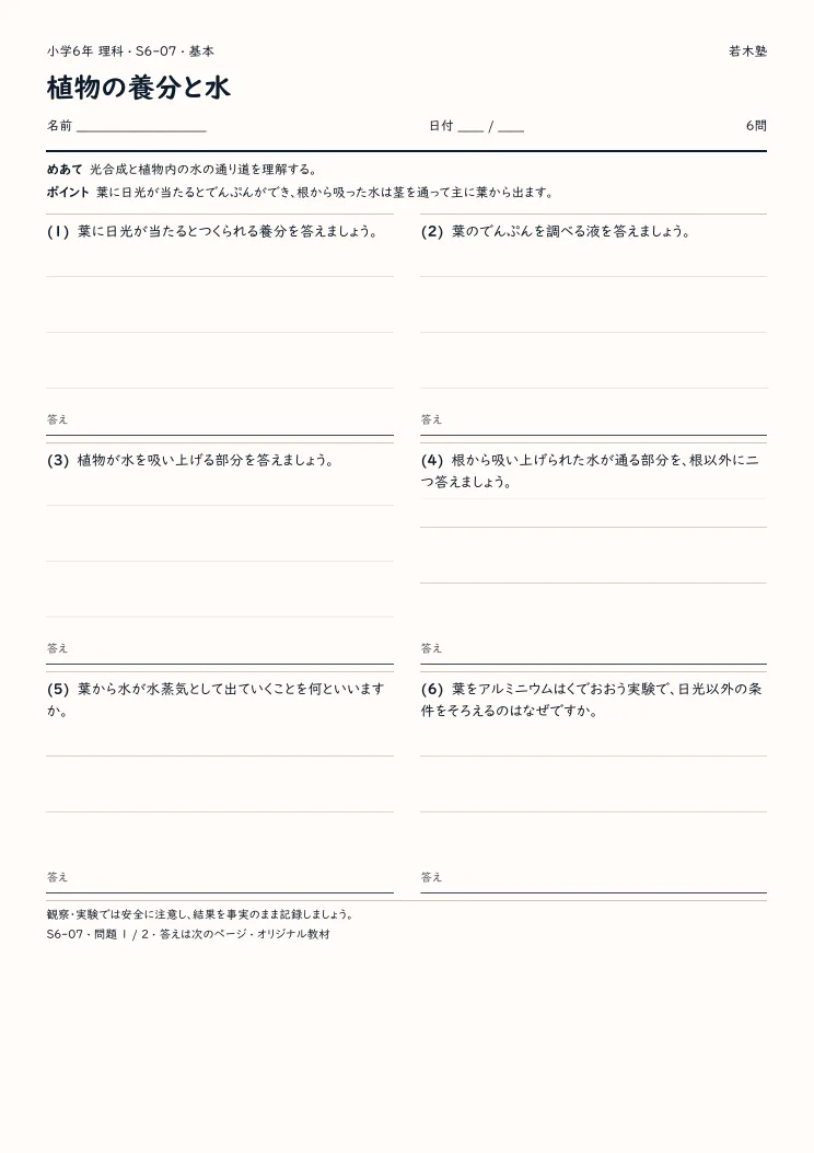 植物の養分と水プリントの見本